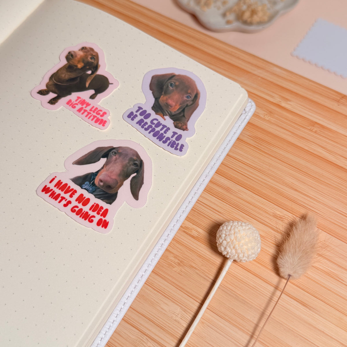 Taco's Mood Sticker Pack